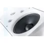 Настенная акустика CVGAUDIO RF616TW